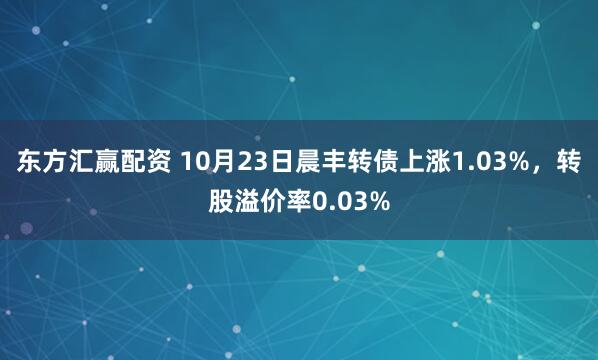 东方汇赢配资 10月23日晨丰转债上涨1.03%，转股溢价率0.03%
