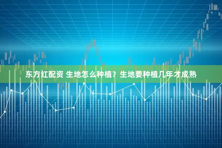东方红配资 生地怎么种植？生地要种植几年才成熟