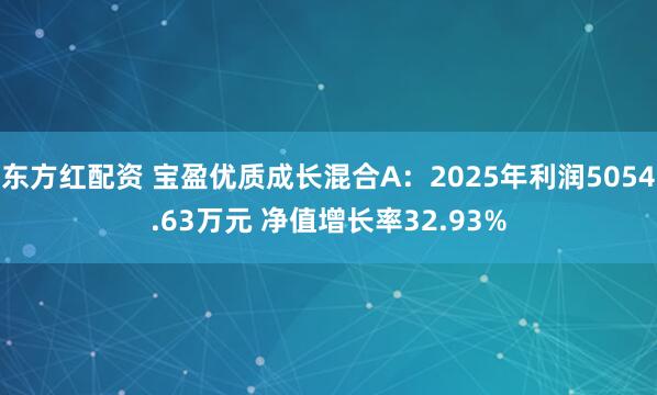 东方红配资 宝盈优质成长混合A：2025年利润5054.63万元 净值增长率32.93%